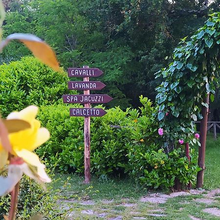 Agriturismo Podere Poggiarone 라폴라노테르메 외부 사진